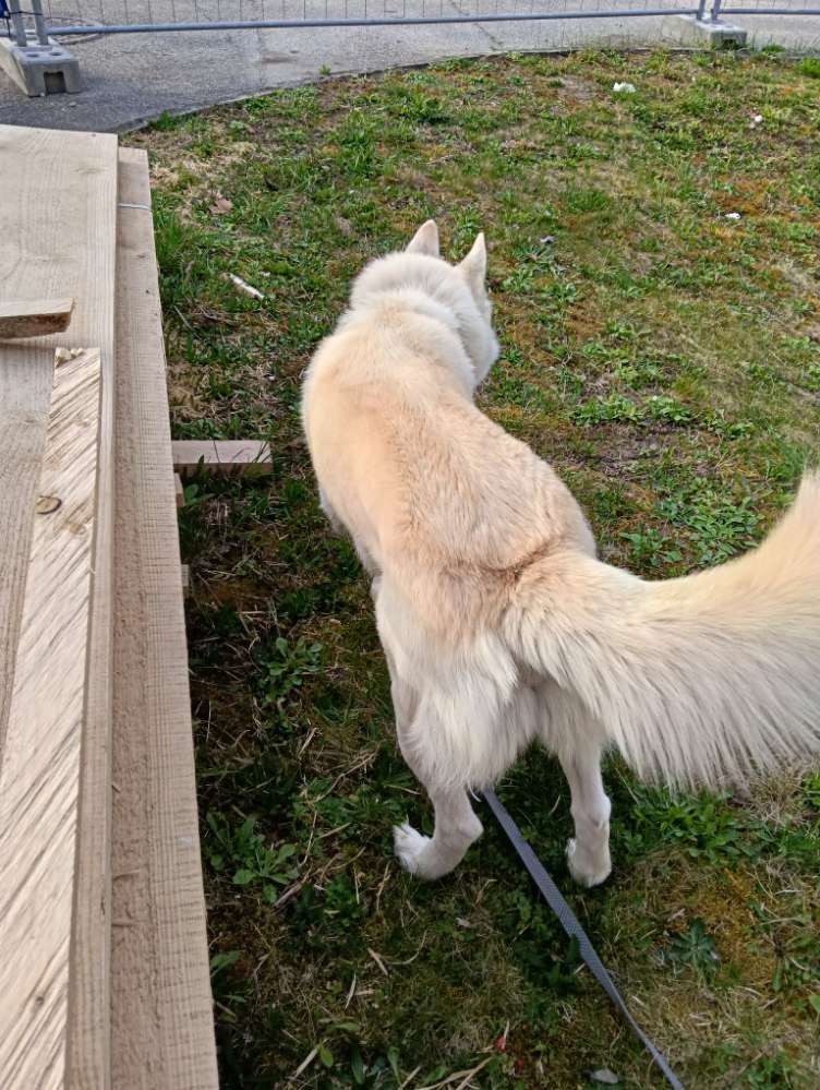 Suchmeldung-Nanook und Takaani-Profilbild
