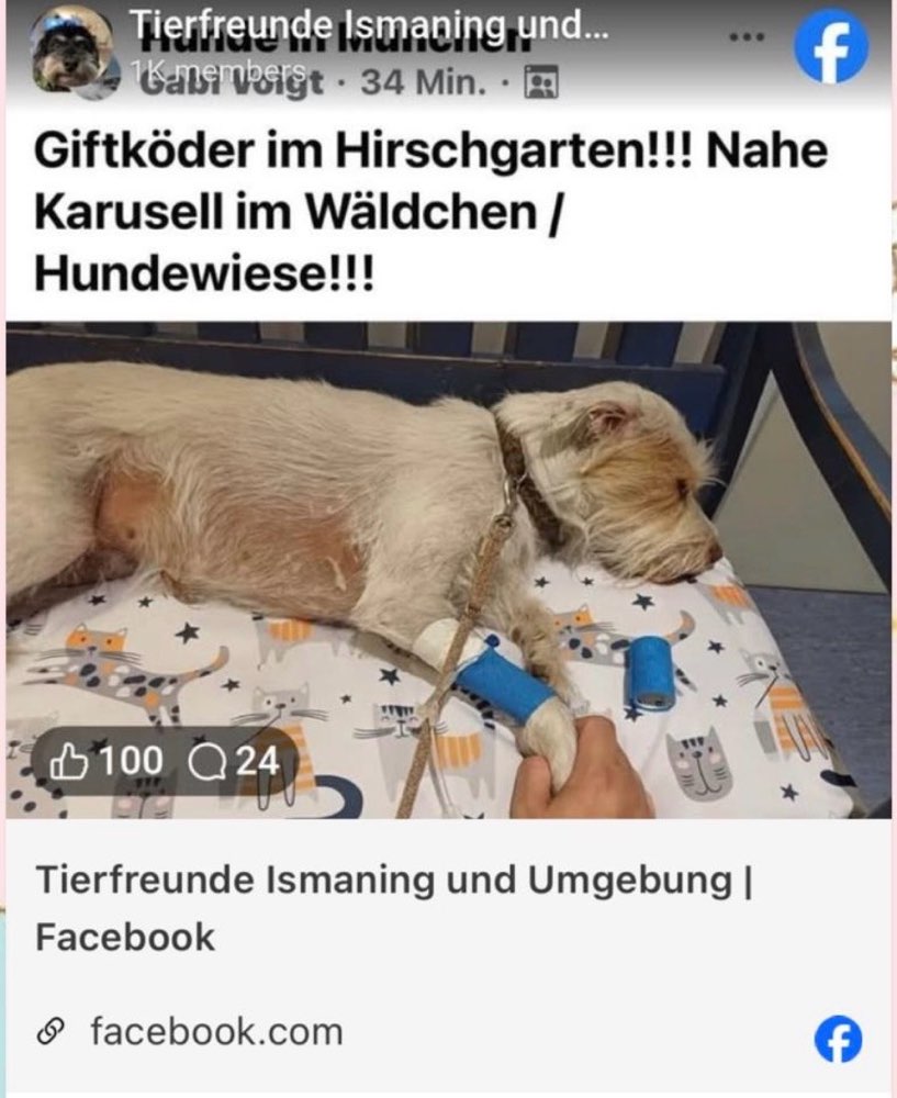 Giftköder-Giftköder-Profilbild