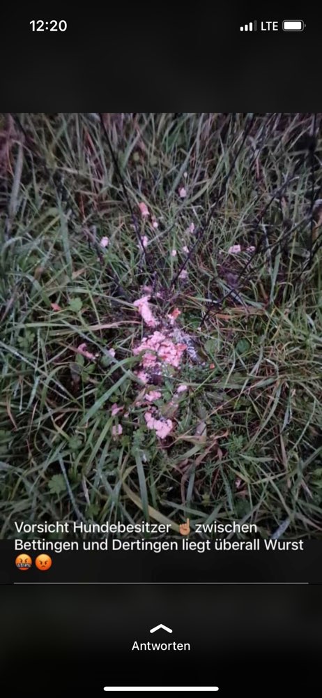 Giftköder-Giftköder zwischen Bettingen & Dertingen-Profilbild