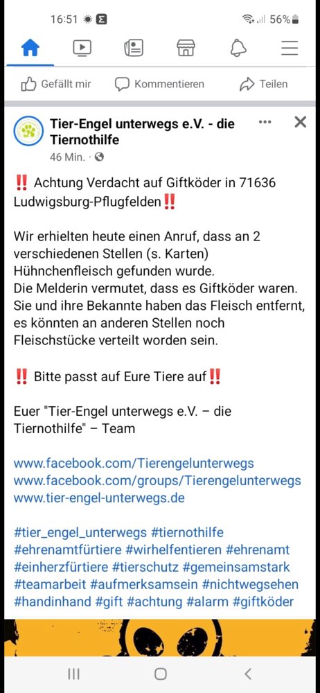 Giftköder-Giftköder-Profilbild