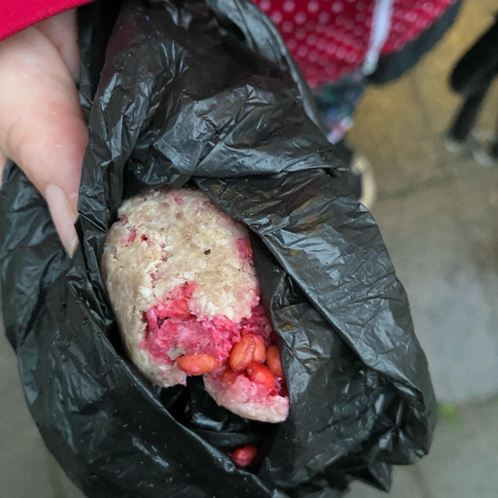 Giftköder-Giftköder-Profilbild