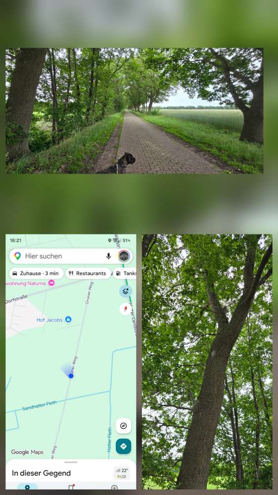 Giftköder-EPS Landwirtschaftlicher Weg Sandweg/Grüner Weg-Profilbild