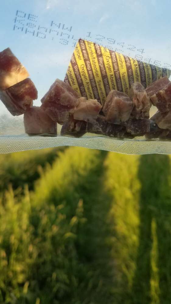 Giftköder-Giftköder-Profilbild