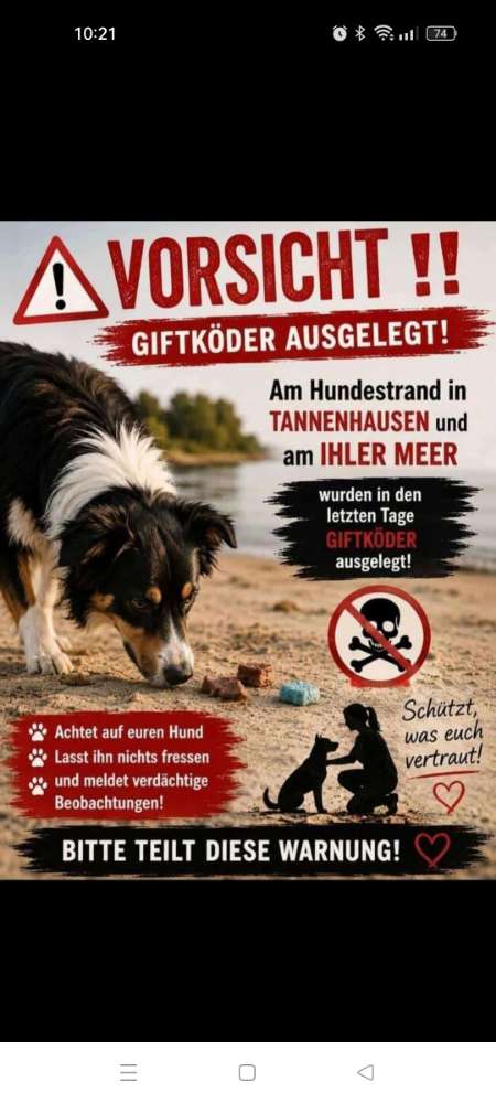 Giftköder-Giftköder-Profilbild