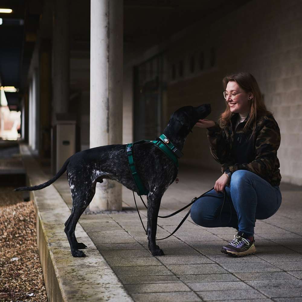 Hundetreffen-Training Hundebegegnung OHNE Kontakt-Profilbild