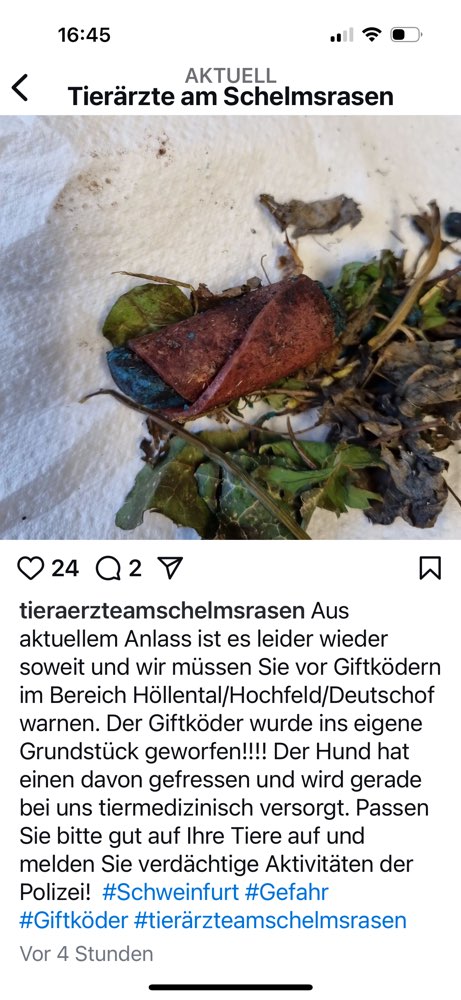 Giftköder-Giftköder-Profilbild