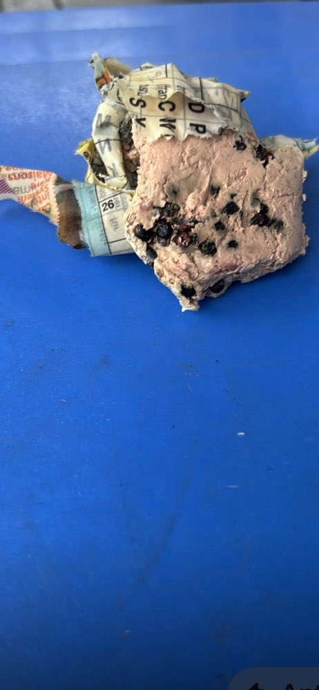 Giftköder-Giftköder-Profilbild