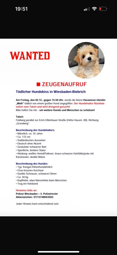 Giftköder-Aggressiver Hund-Profilbild