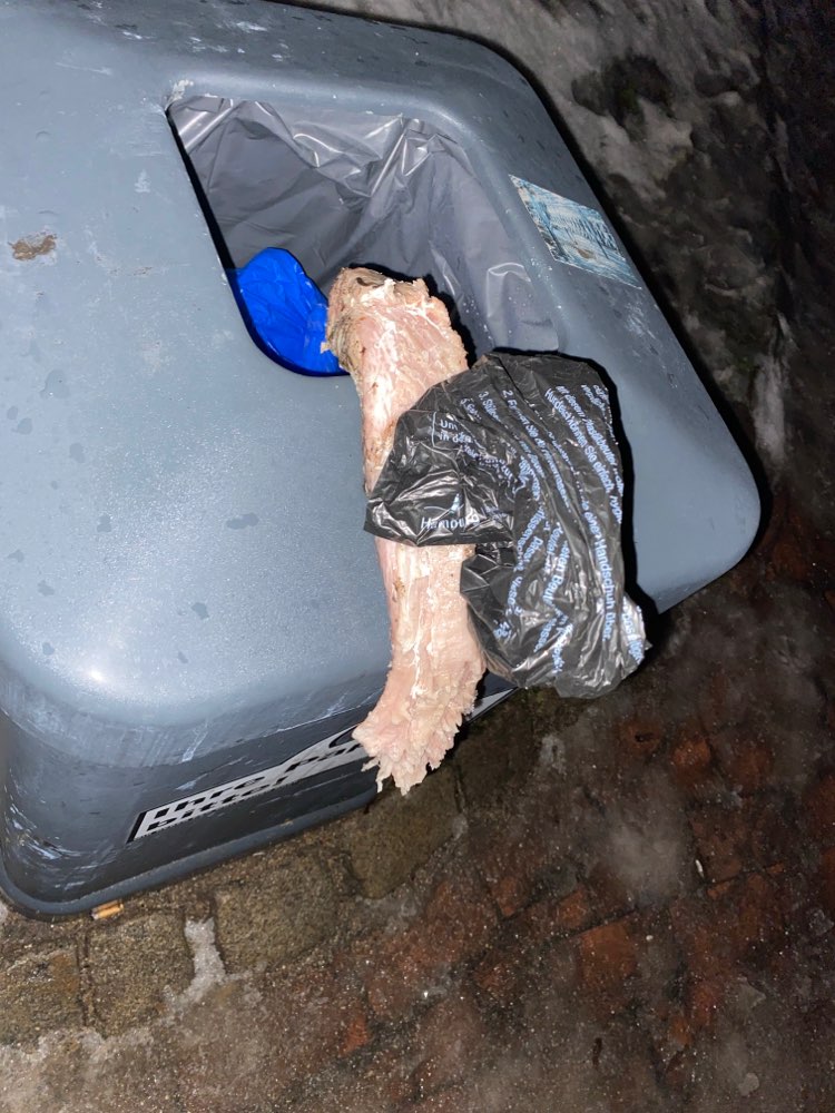 Giftköder-Große Menge rohes Fleisch-Profilbild