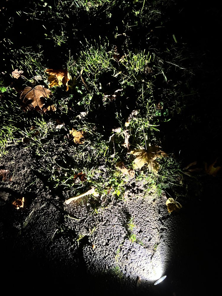 Giftköder-Knochenreste-Profilbild