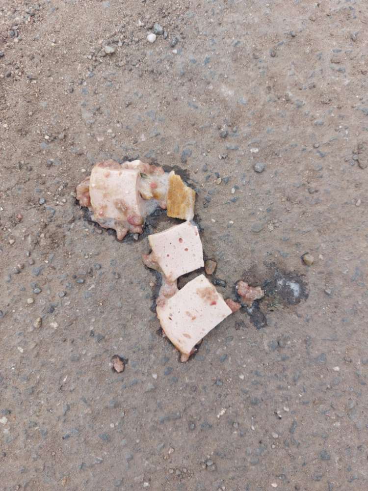 Giftköder-Wurst ausgelegt-Profilbild