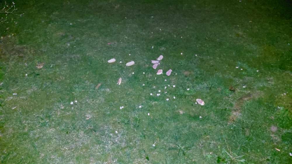 Giftköder-Stullen mit Wurst und merkwürdige Krümel-Profilbild