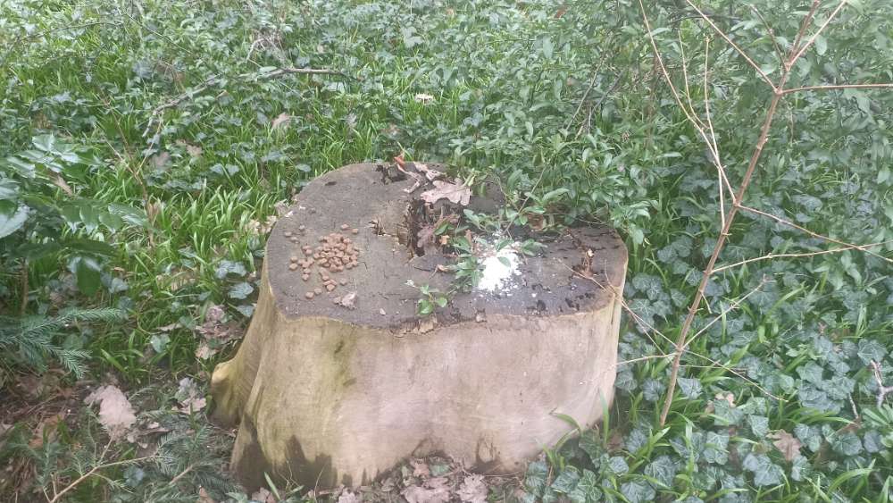 Giftköder-Giftköder am Südpark-Profilbild