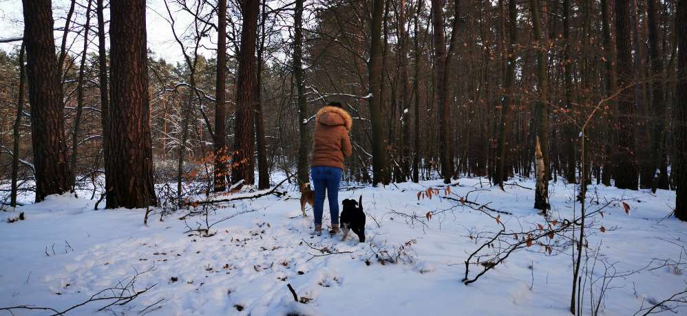 Hundetreffen-Spielen auf denn Drehnitzwiesen-Profilbild