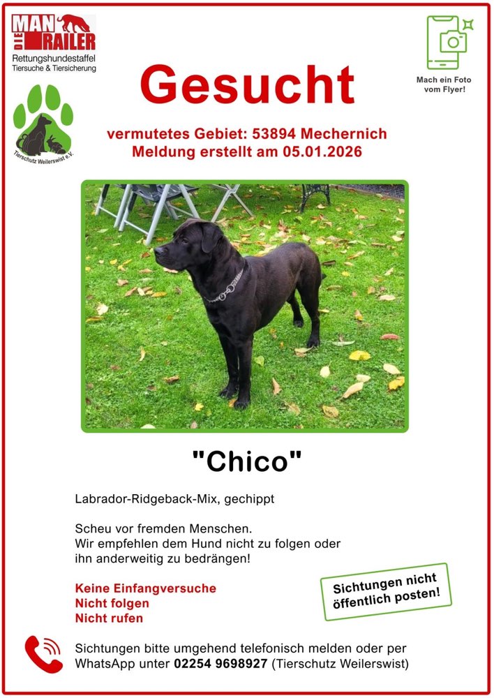 Suchmeldung-Chicco-Profilbild