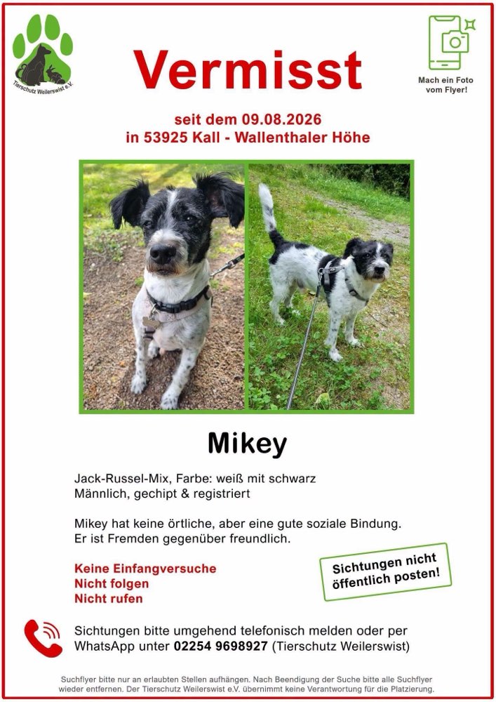 Suchmeldung-Mikey-Profilbild