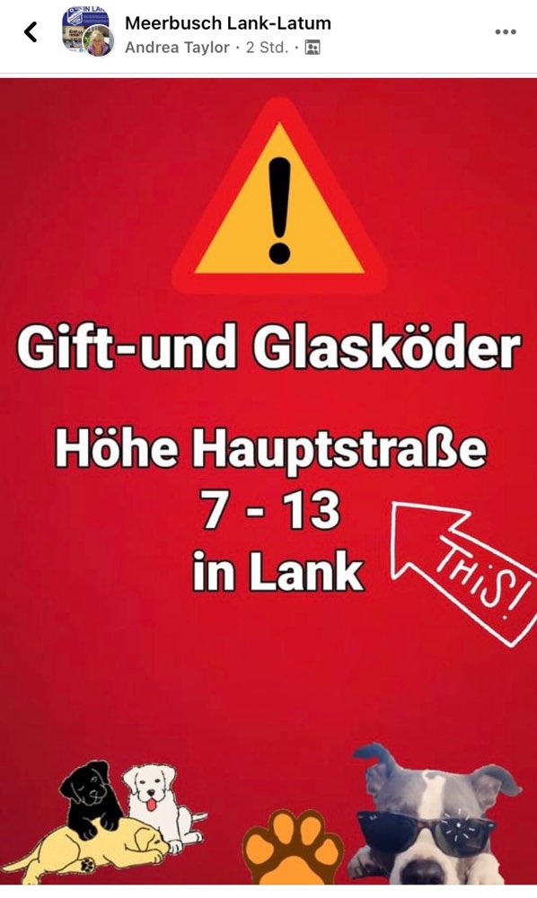 Giftköder-Giftköder-Profilbild