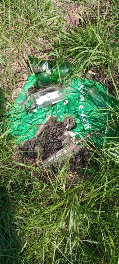 Giftköder-Vorsicht Glasscherben-Profilbild