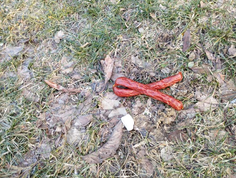 Giftköder-Evtl. Giftköder-Profilbild