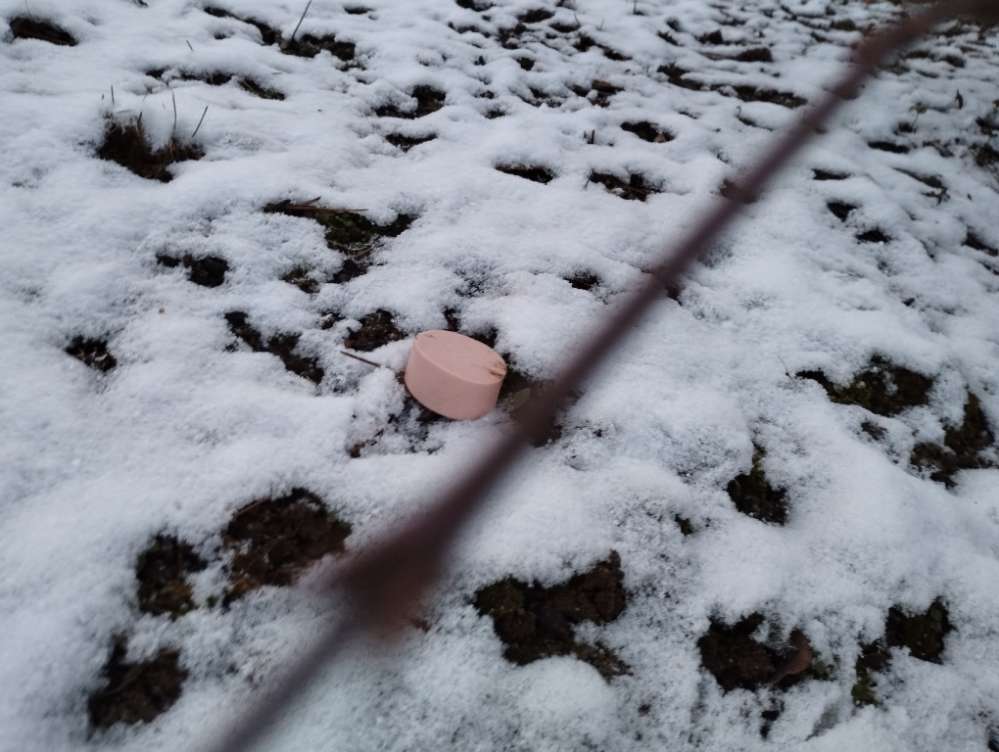 Giftköder-Giftkoeder-Profilbild