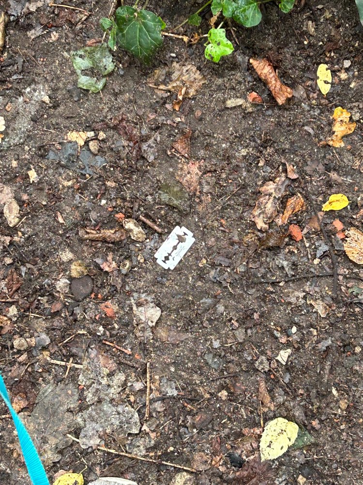 Giftköder-Rasierklingen-Profilbild