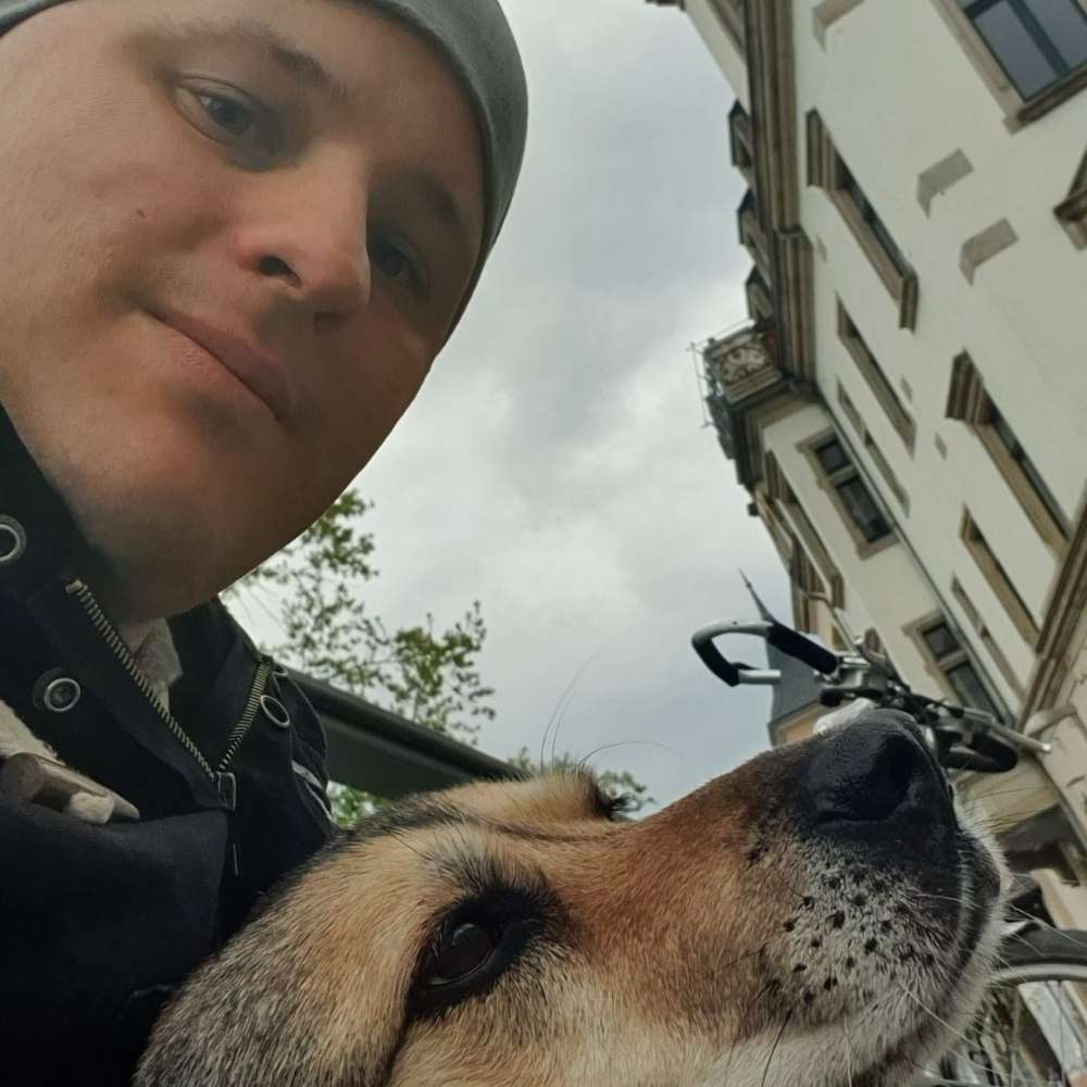 Ersteller:in Hunde Spaziergang  Kaditz  übigau Profilbild