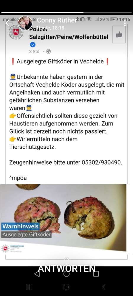 Giftköder-Giftköder-Profilbild