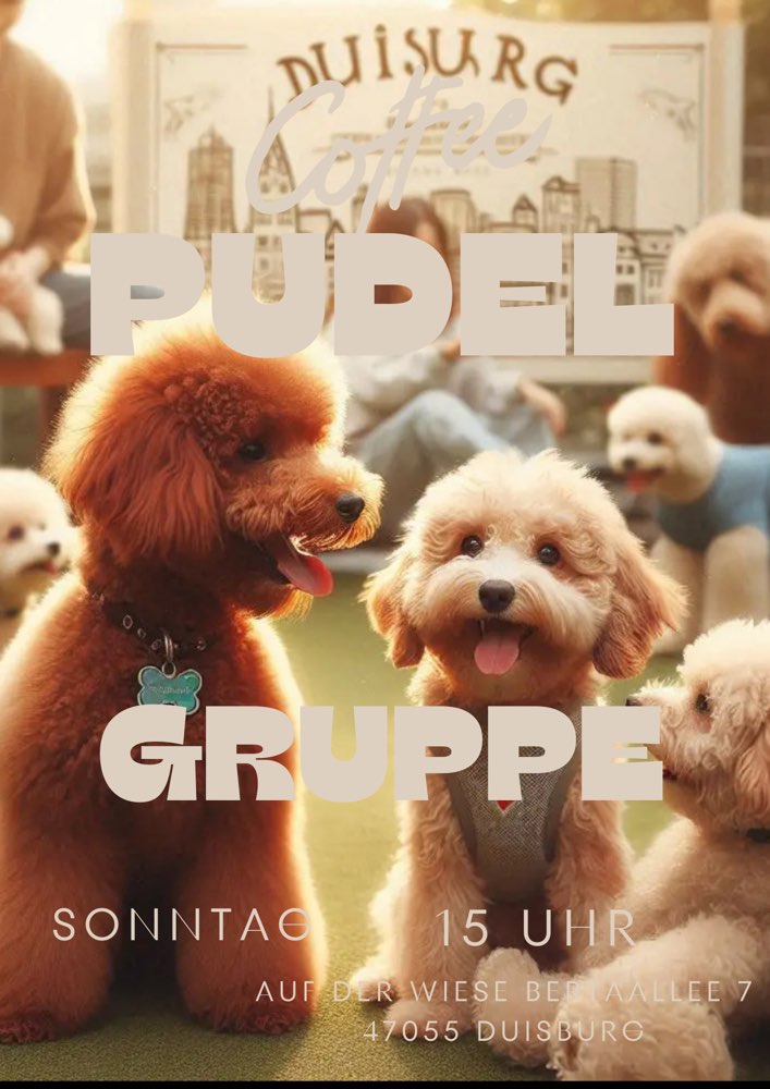 Hundetreffen-Pudeltreffen Duisburg-Profilbild