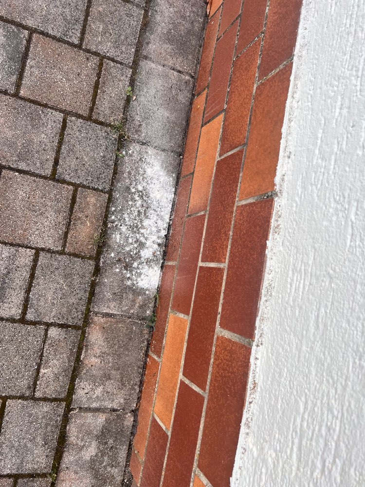 Giftköder-Weisses Pulver in der Bezirksstraße-Profilbild