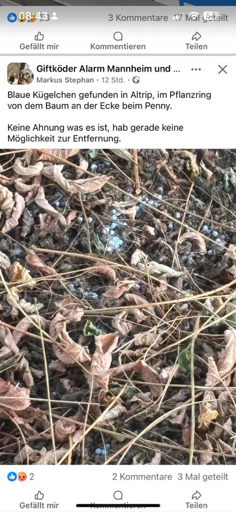 Giftköder-Evtl. Giftköder-Profilbild