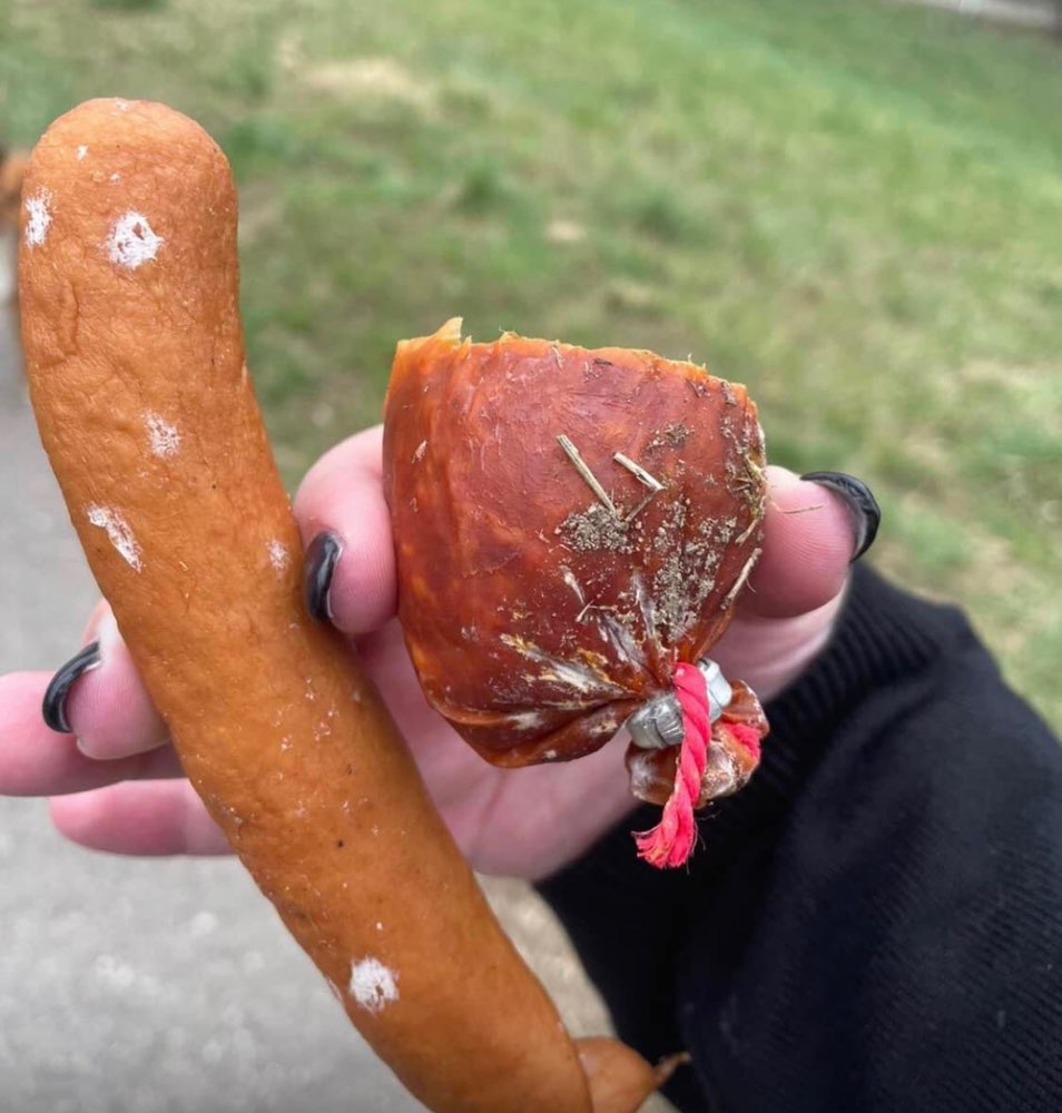 Giftköder-Mögl. Giftköder am Waldparkdamm-Profilbild