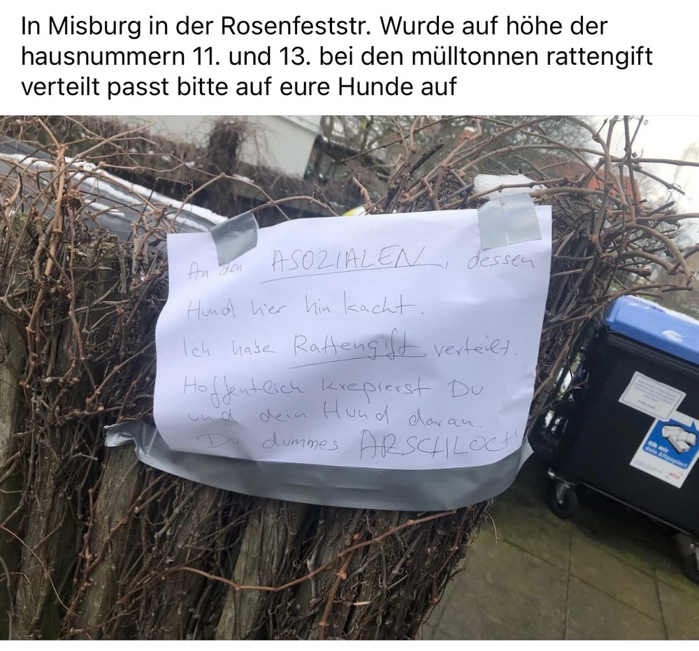 Giftköder-Rattengift an Mülltonnen-Profilbild