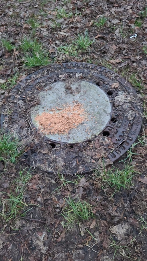 Giftköder-Möglicher Weizen Giftköder-Profilbild