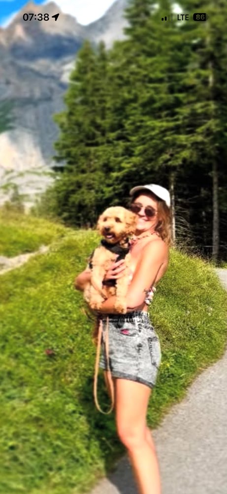 Hundetreffen-Playdate oder Walkie - gern im Berliner Norden + Umgebung-Profilbild
