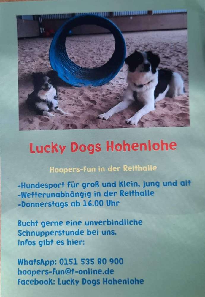 Hundetreffen-Hoopern just for fun-Profilbild