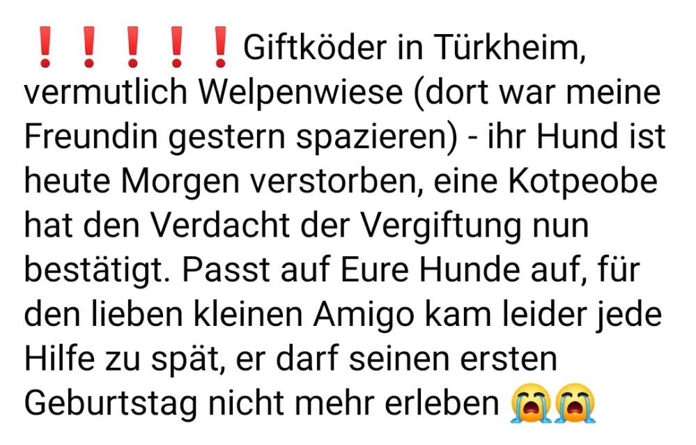 Giftköder-Vermutlich Giftköder Welpenwiese-Profilbild