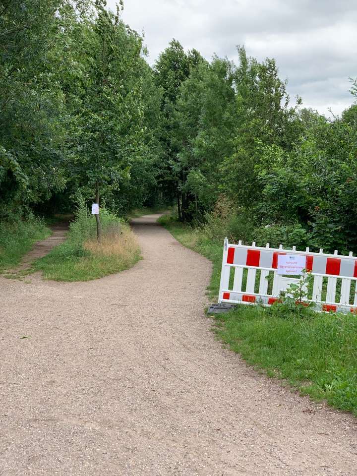 Giftköder-Eichenprozessionsspinner-Profilbild