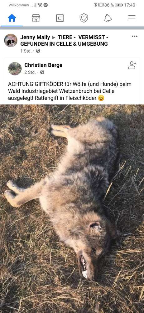 Giftköder-Rattengift in Fleischköder-Profilbild