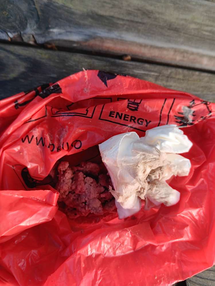 Giftköder-Pinkfarbene Herzchen-Profilbild