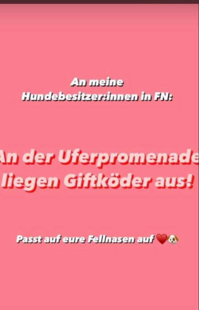 Giftköder-Giftköder-Profilbild