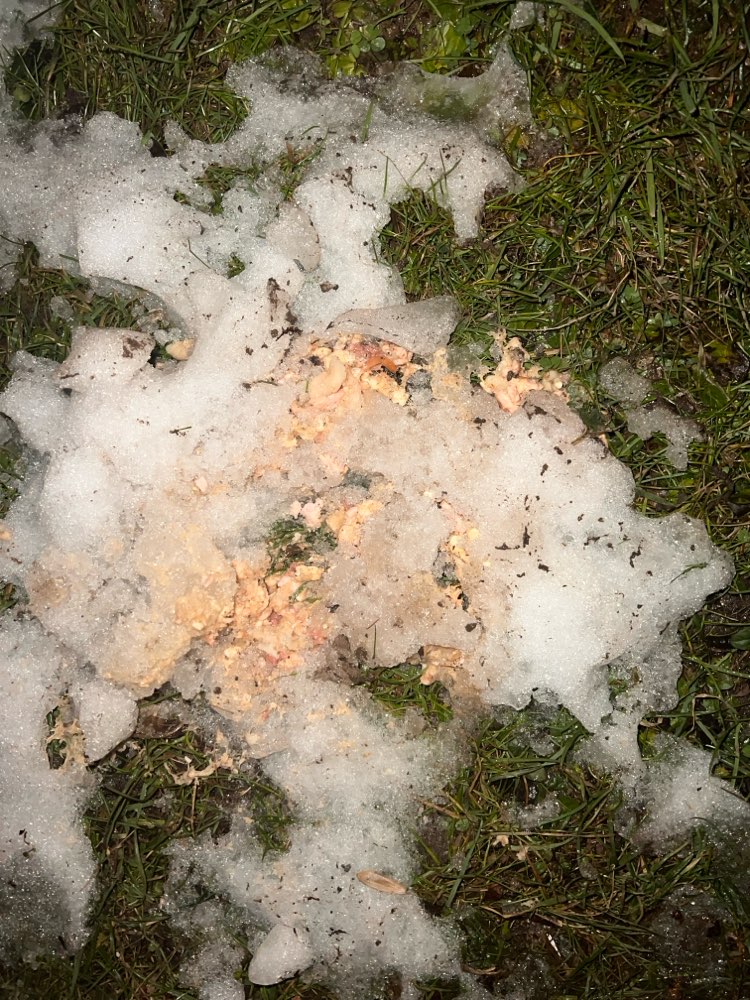 Giftköder-Merkwürdige Masse-Profilbild