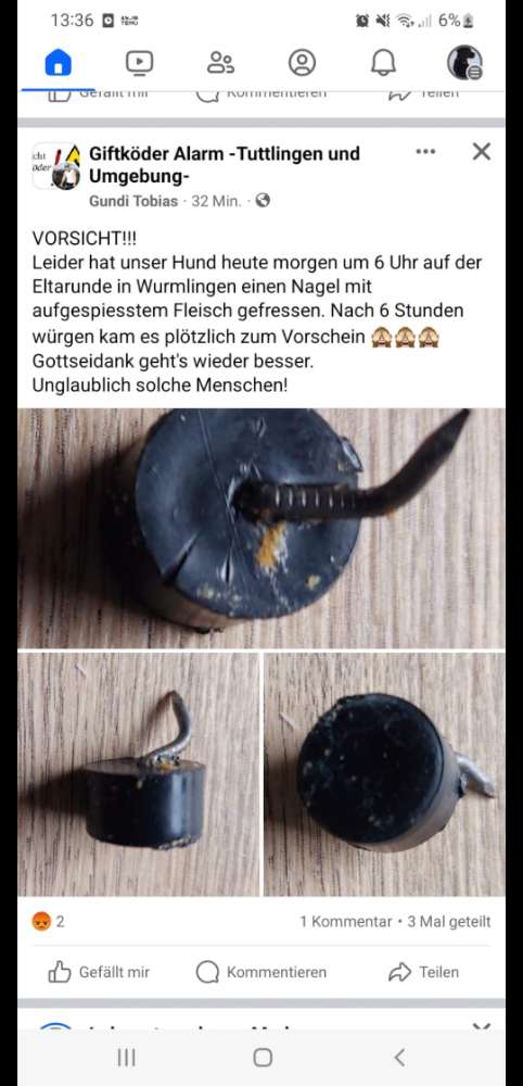 Giftköder-Fleisch auf Nägeln-Profilbild