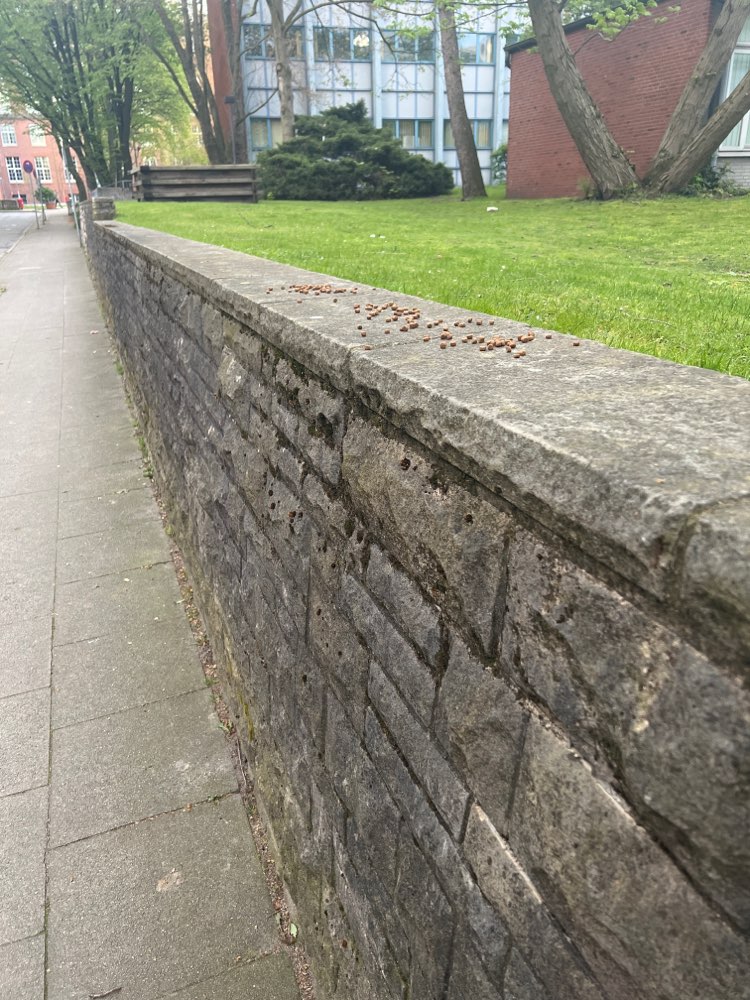 Giftköder-Trockenfutter-Profilbild