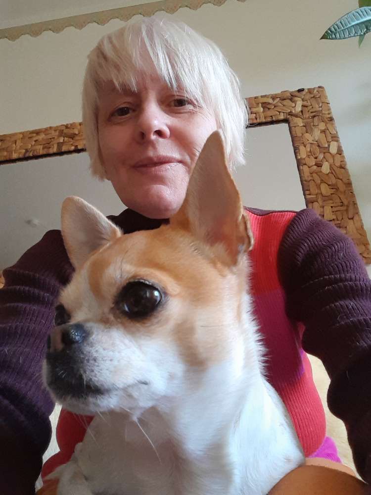 Hundetreffen-Kleinhundetreffen in Wuppertal-Cronenberg-Profilbild