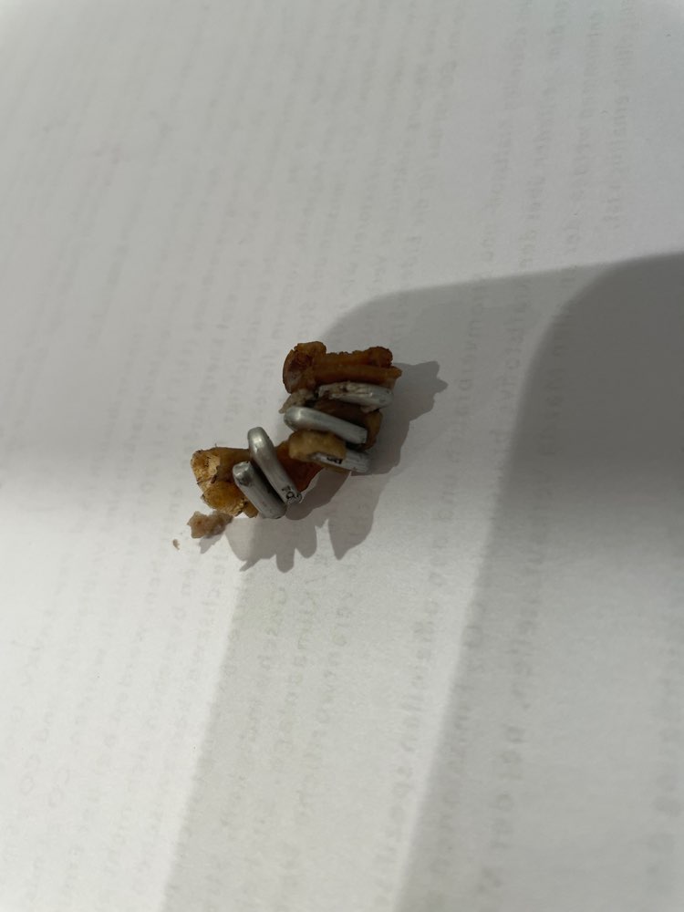 Giftköder-Wurstreste mit Aluklammern-Profilbild