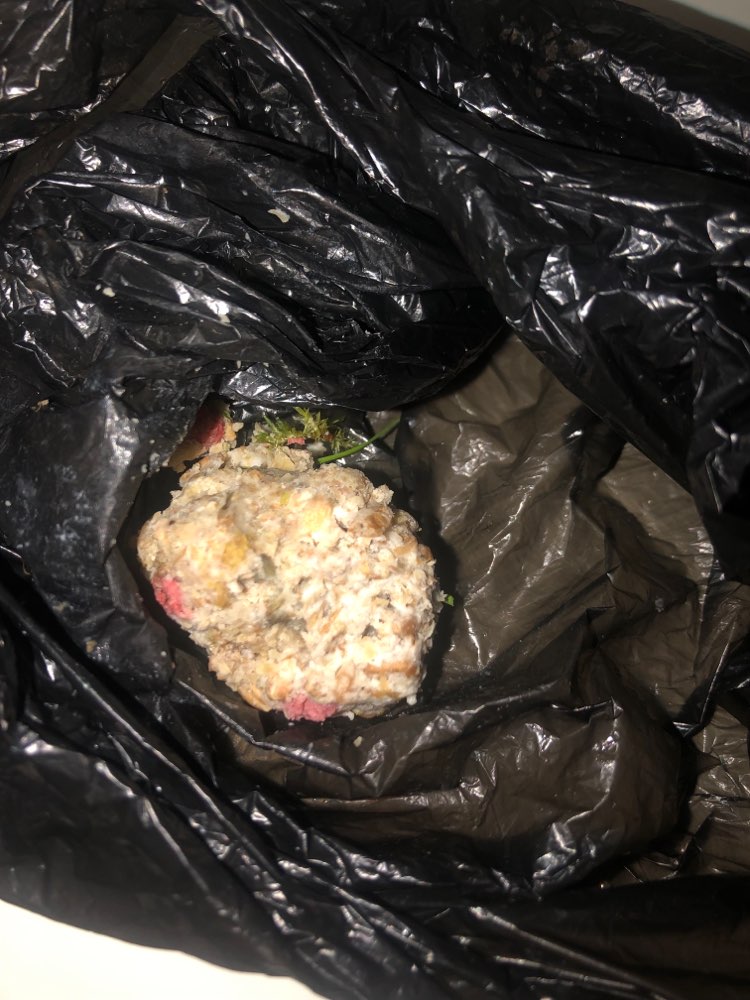 Giftköder-Evtl. Giftköder-Profilbild