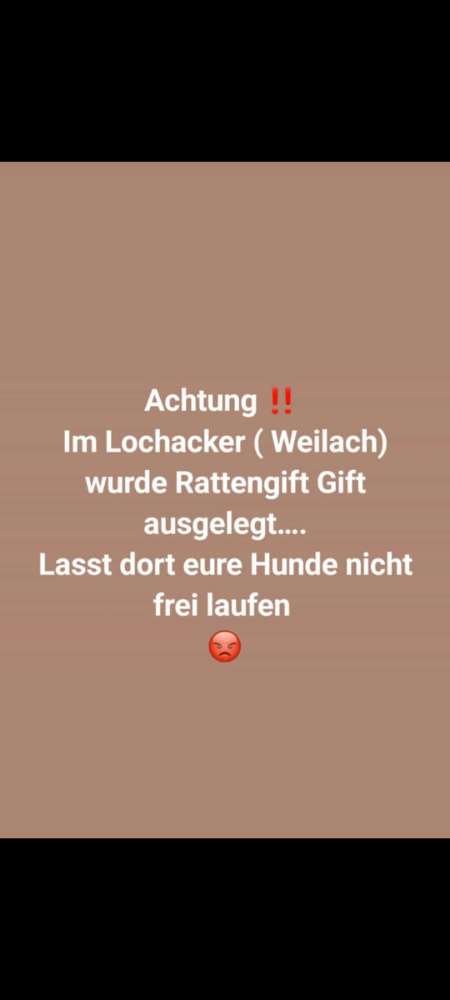 Giftköder-Rattengift im Lochacker/Weilach-Profilbild