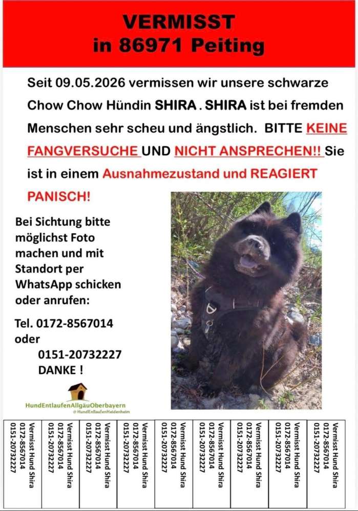 Suchmeldung-Shira-Profilbild