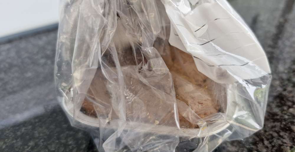 Giftköder-Möglicher Giftköder-Profilbild