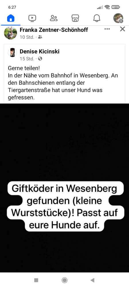 Giftköder-Giftköder Wesenberg nähe Bahnhof-Profilbild